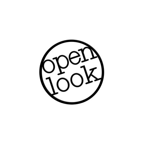 OpenLook Business Solutions Inc.